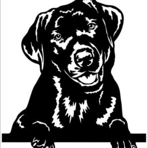 Black Dog Auto Repair