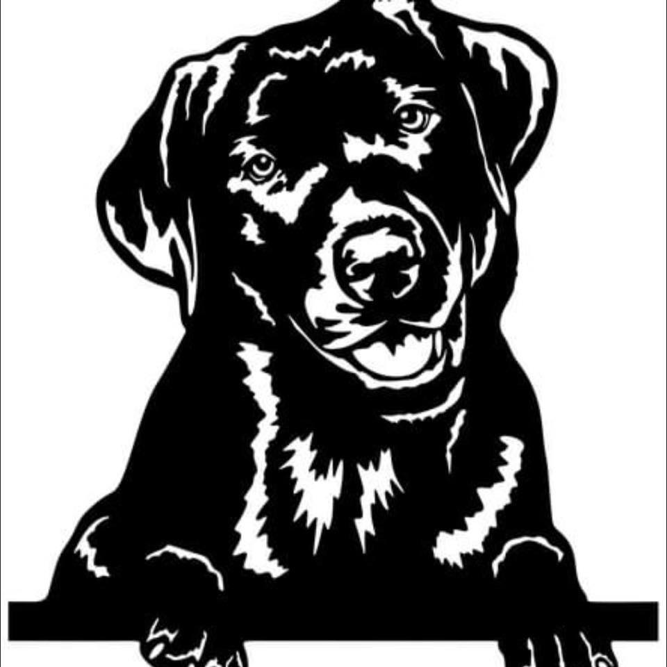 Black Dog Auto Repair
