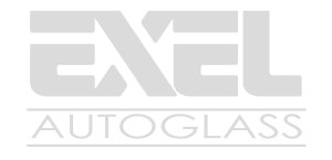 EXEL+logo+silver