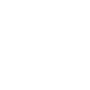 SKY+SMOG-logos_white