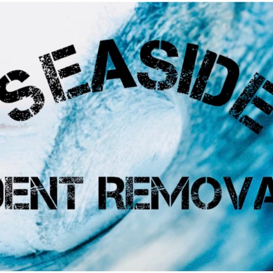 Seaside Dent Removal