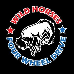 Wild Horses 4×4