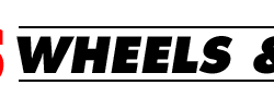 logo (8)
