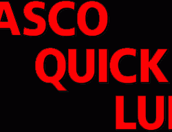 logo-vascolube2