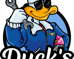 DuckAuto_RGB