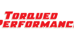 TP_Logo_LG-300x138
