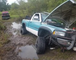 dodge