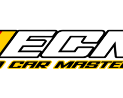 ecm-logo