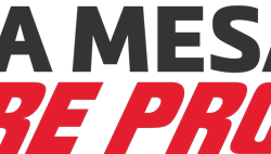 logo (11)