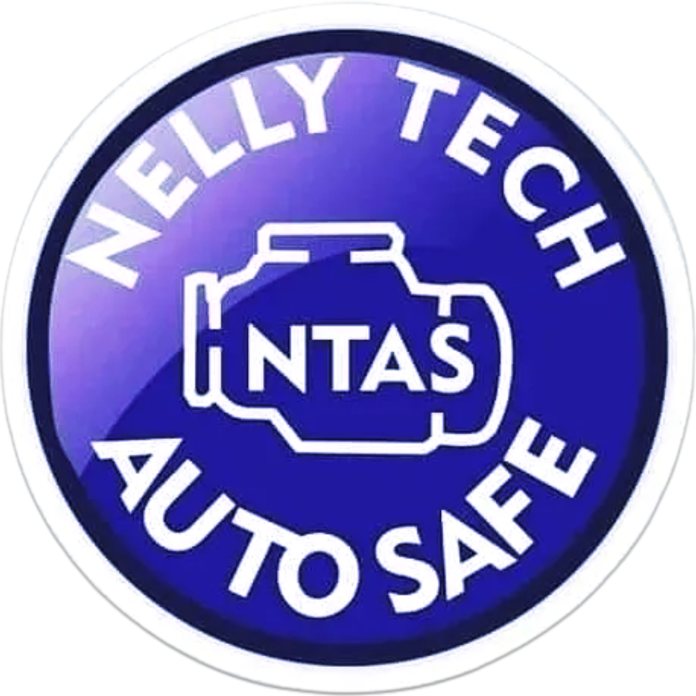 Nelly tech Auto Safe LLC