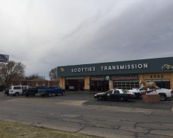 scotts