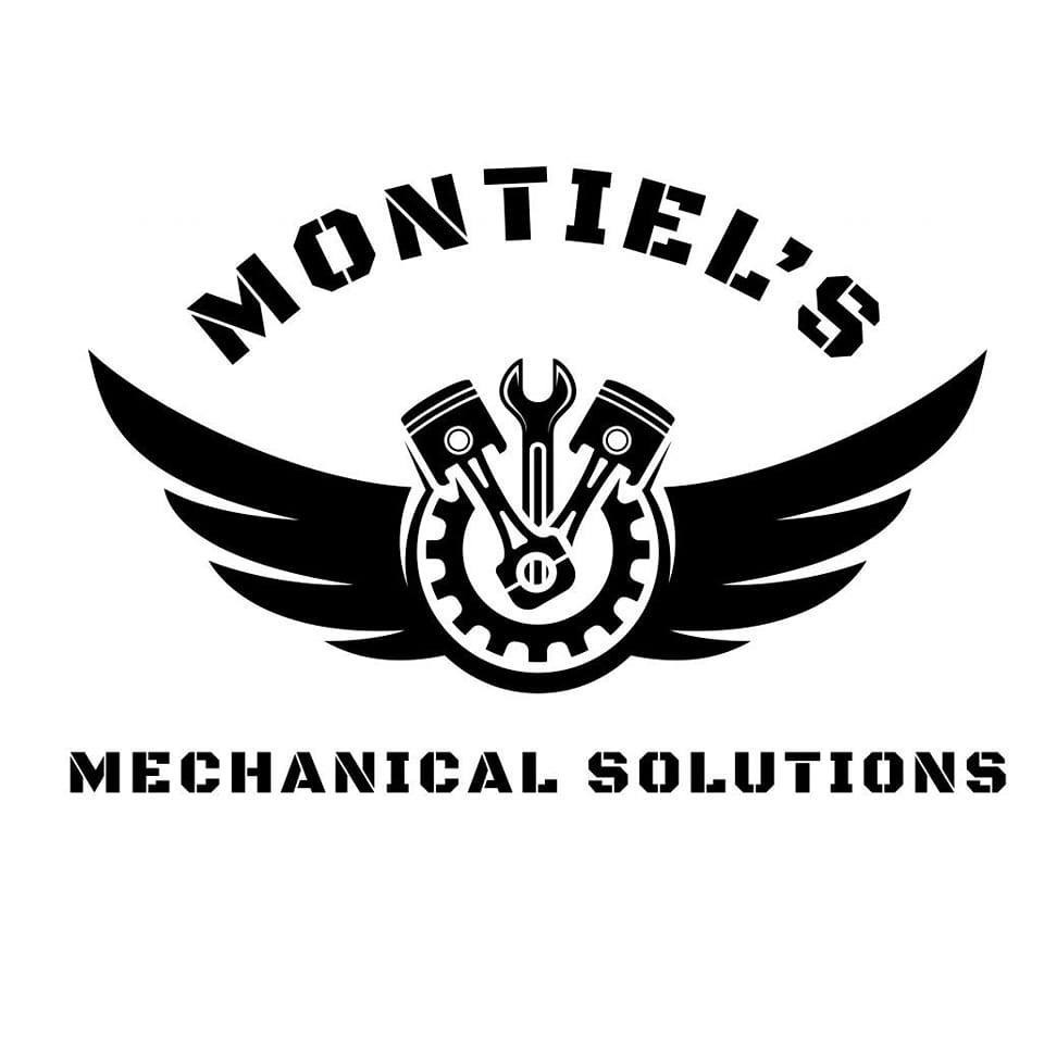 459609200_122109301232506572_1355568838831278026_n