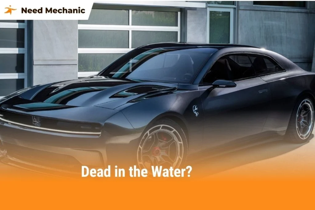 Dead in the Water