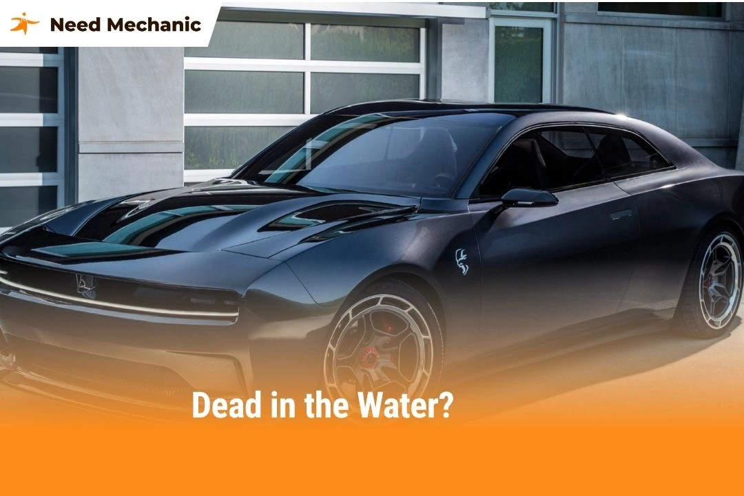 Dead in the Water