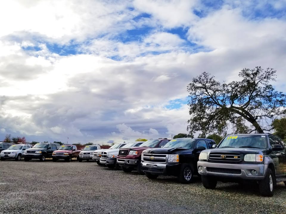 473771632_1027483069420597_3463848033883486740_n