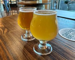 484826581_1197275652400510_8754960449033375352_n